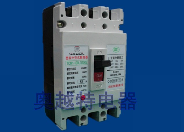 TCM1-100塑壳断路器