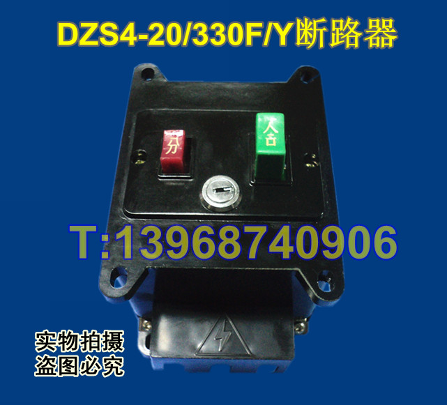 DZS4-20/330F/Y·