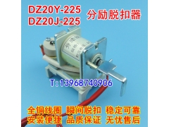 DZ20Y-225ѿ,ǿ,DZ20Y-225/3310Ȧ,բѿ